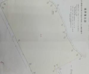 IMG_20251028_0814342