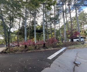 立正大学学園軽井沢研修所解体工事　完了　2,058坪